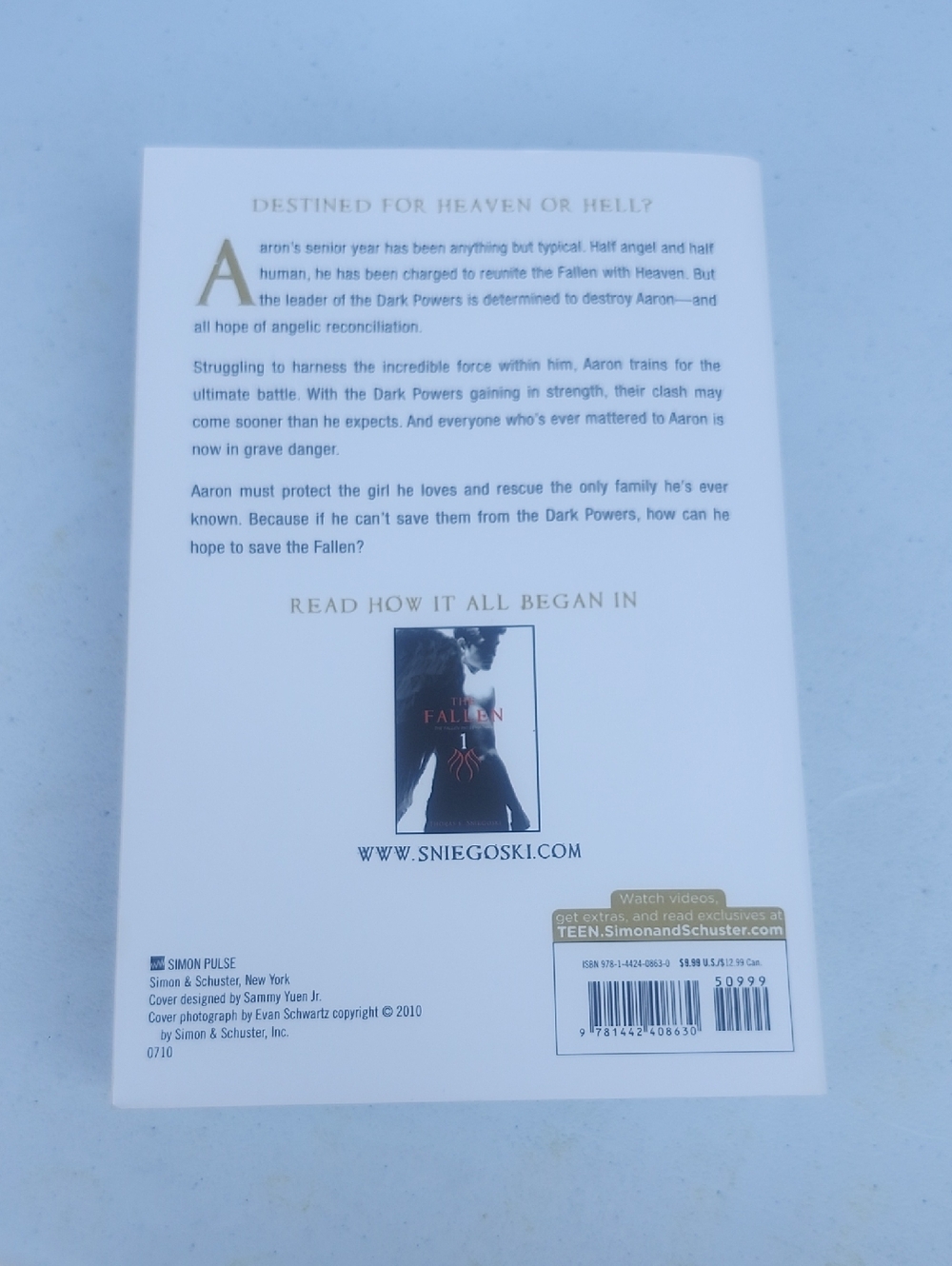 The Fallen Book Set - Picture 4 of 5